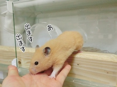 s-CIMG9092