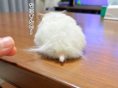 s-IMG_3555