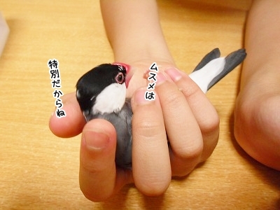 ブンチョ日誌