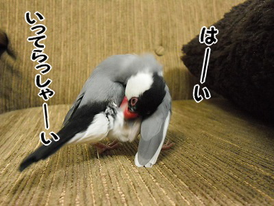 ブンチョ日誌