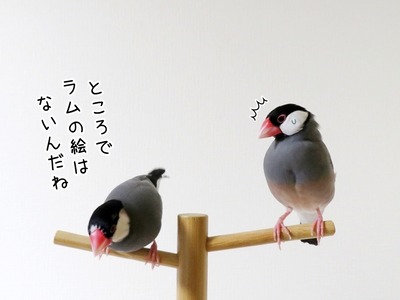 s-IMG_3484