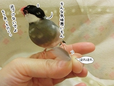 ブンチョ日誌