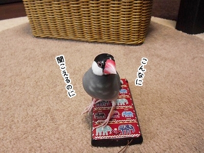 ブンチョ日誌