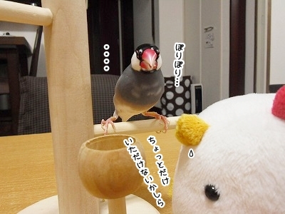 ブンチョ日誌