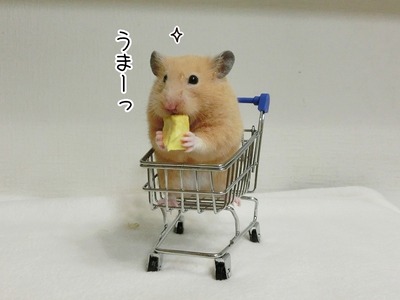 s-CIMG9916