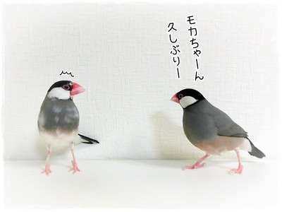 CIMG9819