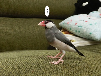 s-CIMG0536