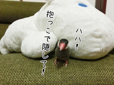 s-CIMG0128