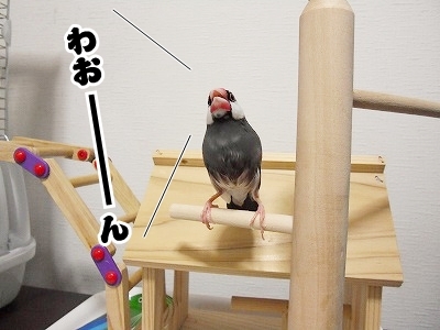 ブンチョ日誌