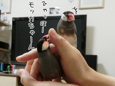 s-CIMG6753