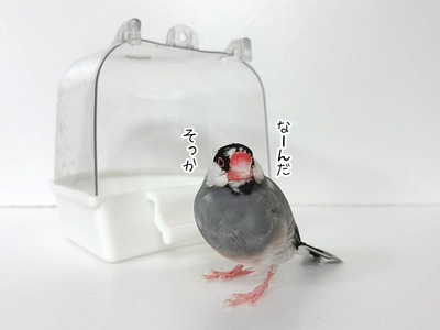 ee3adcf8