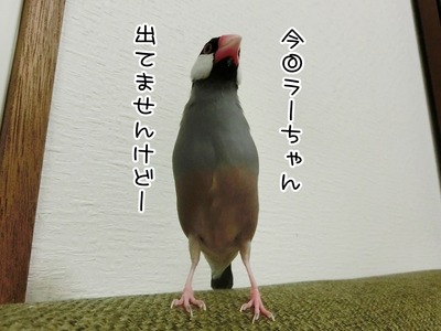 s-CIMG5051