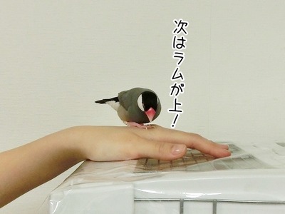 s-CIMG5261