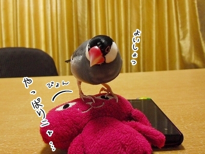 ブンチョ日誌
