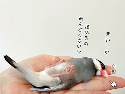 s-IMG_8755
