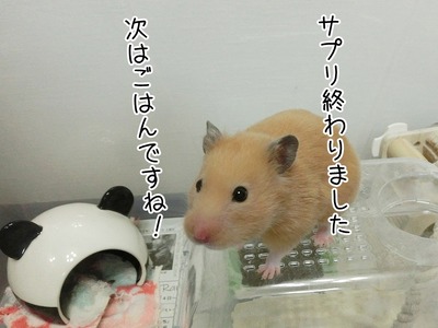 s-CIMG8375