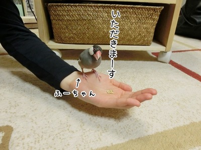 s-CIMG5375