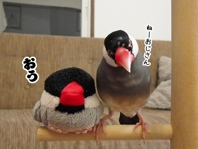 ブンチョ日誌