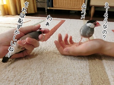 s-CIMG0910
