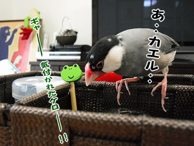 ブンチョ日誌