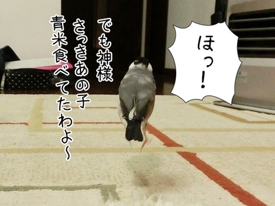 s-CIMG6845