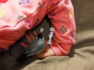 ブンチョ日誌
