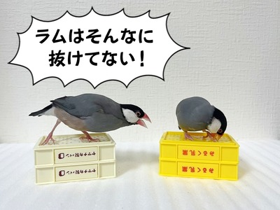 s-IMG_7326