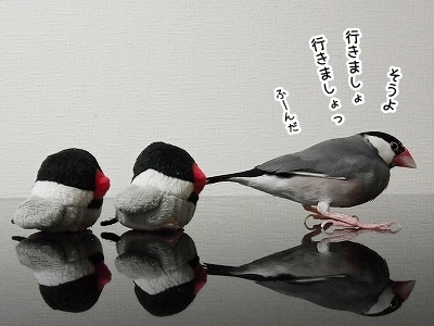 ブンチョ日誌