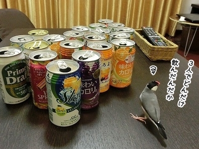 ブンチョ日誌