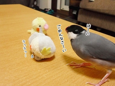 ブンチョ日誌