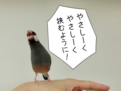 s-CIMG0182