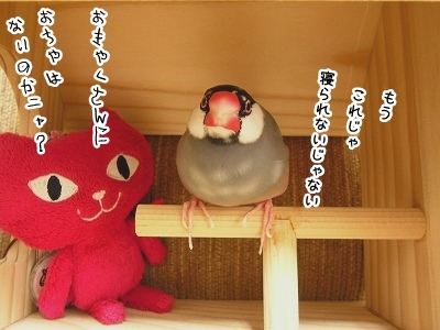 ブンチョ日誌