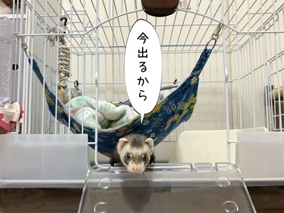 s-IMG_5961