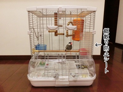 s-CIMG8266