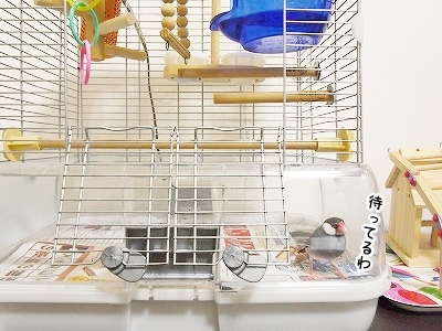 ブンチョ日誌