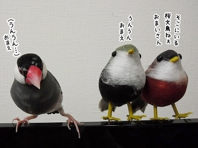 ブンチョ日誌