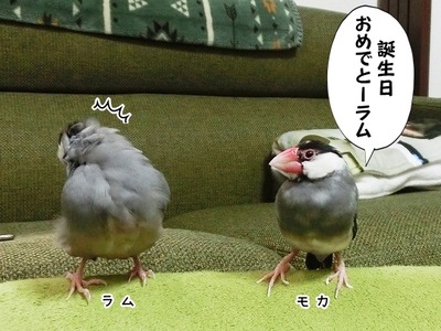 s-CIMG0676