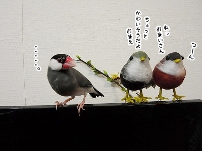 ブンチョ日誌