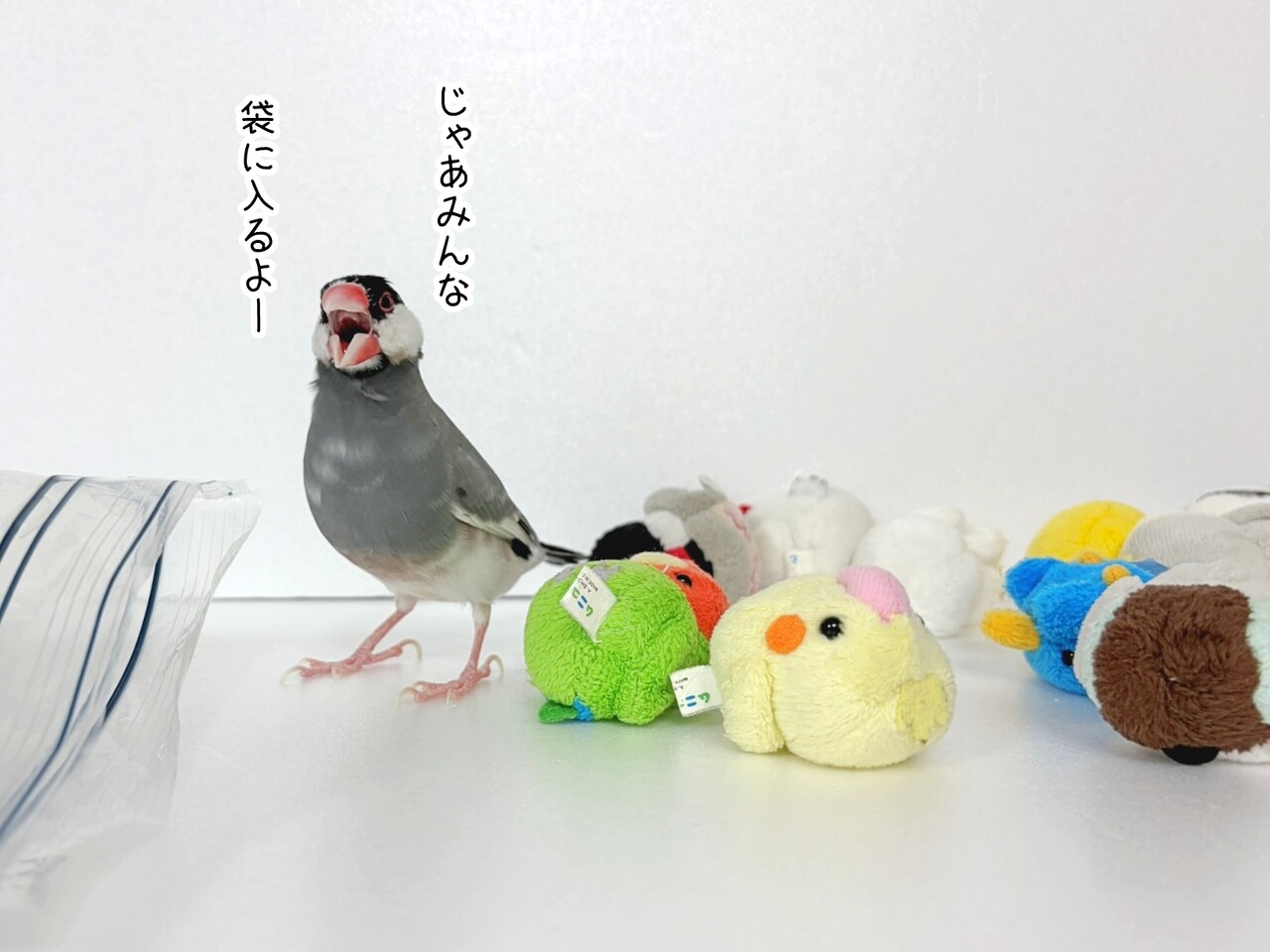 ムニュマムたちを片づけてください : ブンチョ日誌 Powered by