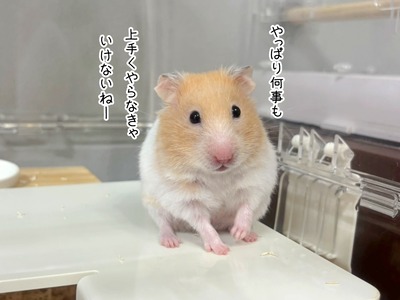 IMG_6820