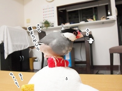 ブンチョ日誌