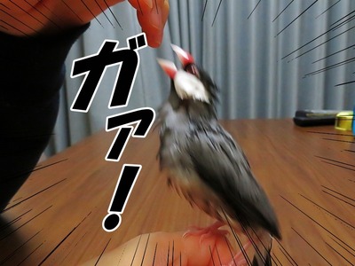 s-IMG_3603