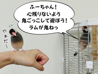 s-CIMG3443