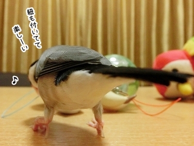 ブンチョ日誌