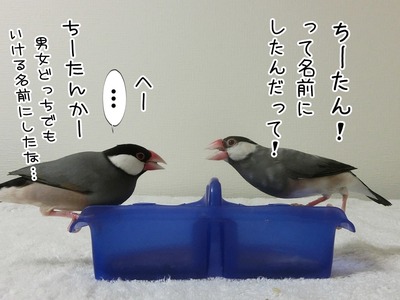 s-CIMG3517