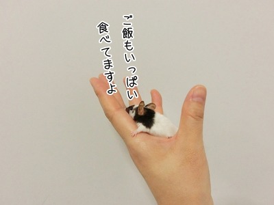 s-CIMG4310