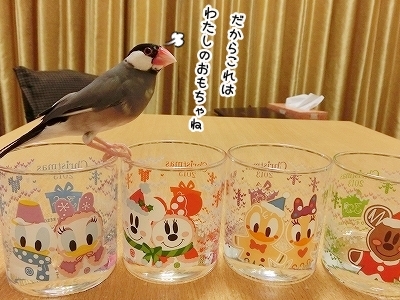 ブンチョ日誌
