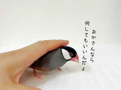 s-IMG_6672