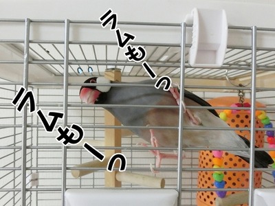s-CIMG1748
