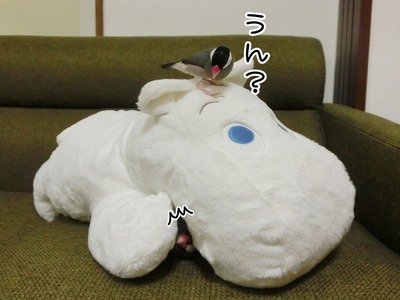 s-CIMG0144